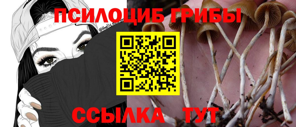 Псилоцибиновые грибы MAGIC MUSHROOMS Вятские Поляны